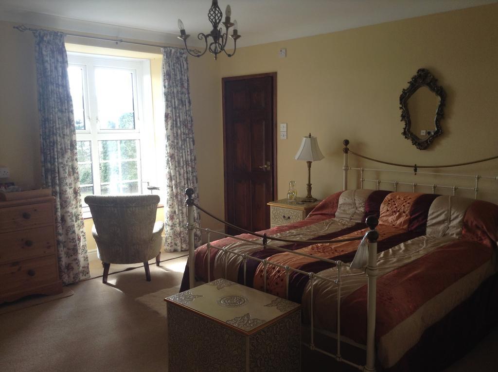 Frondderw Country House Bed & Breakfast Bala Luaran gambar